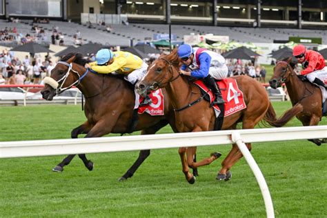 Angus Armanasco Stakes 2024 Tips & Betting .